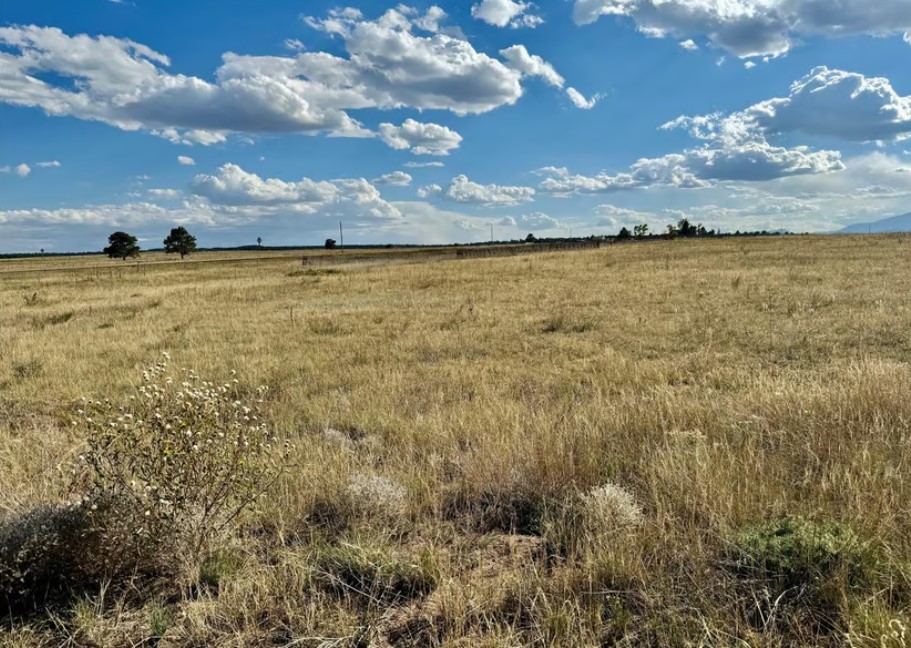 Land for Sale in Larkspur Colorado 80118